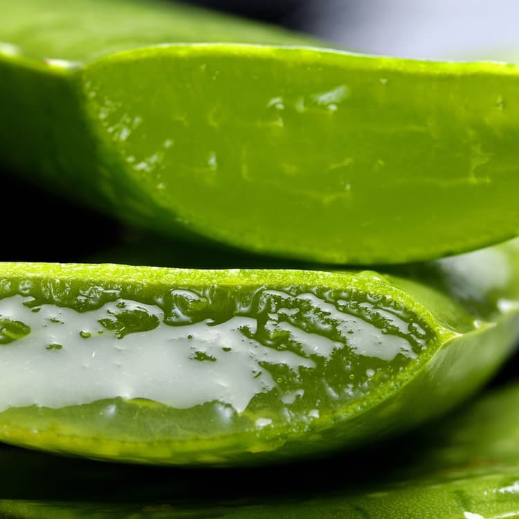 Aloe vera Gel